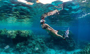 Sharm El-Sheikh: Snorkeling Adventure at Ras Mohamed & White Island