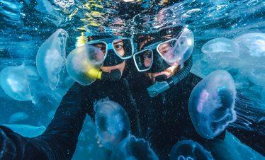 Hurghada: Crucero de snorkel a la Isla Edén con almuerzo buffet