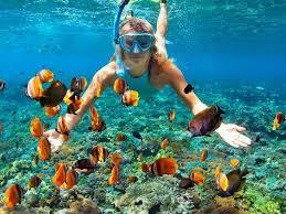 Hurghada FTS Travels