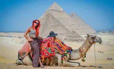 Camel and pyramids