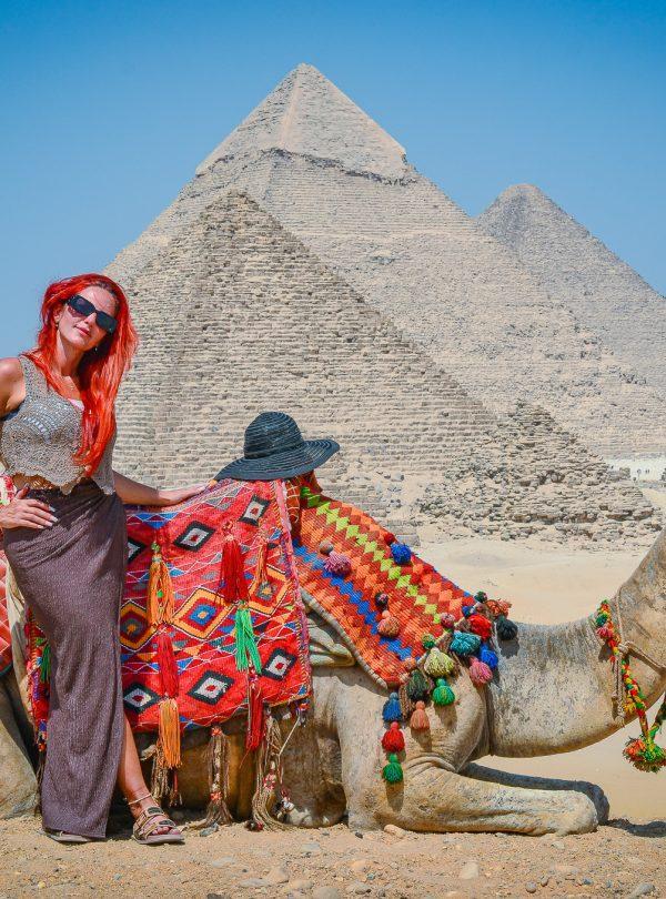 Camel and pyramids